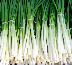1778416094_spring onion.webp